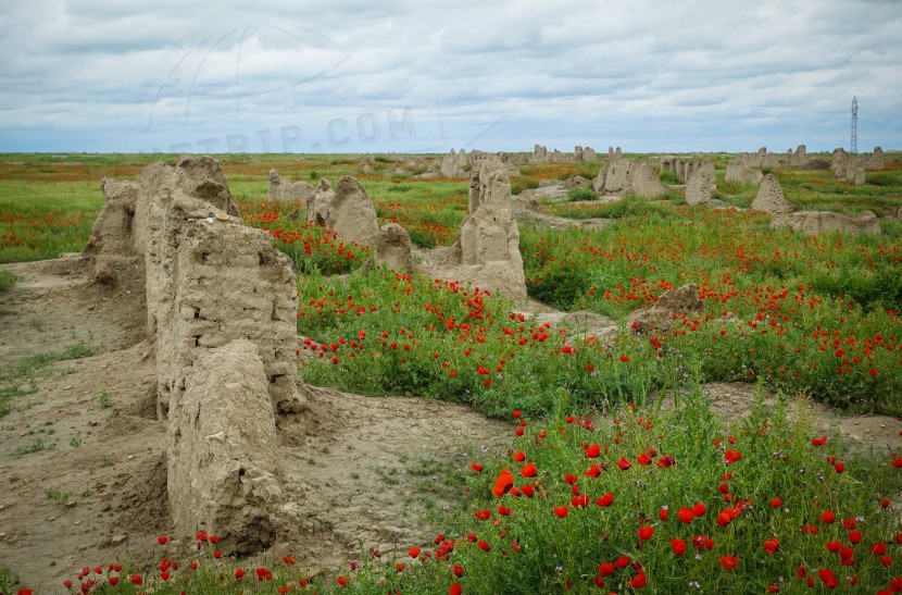 Turkmenistan Road Trip  | axetrip.com