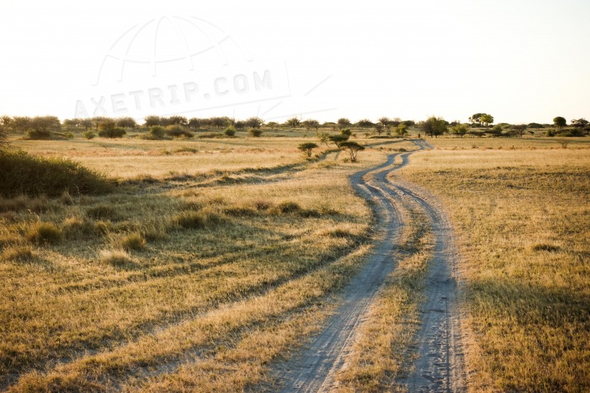 Botswana Gweta  | axetrip.com