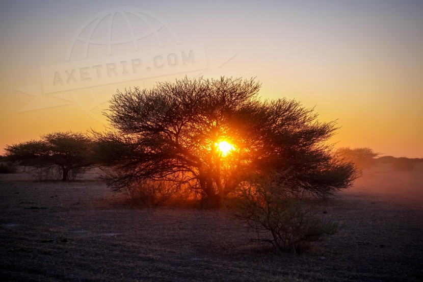 Botswana Gweta  | axetrip.com