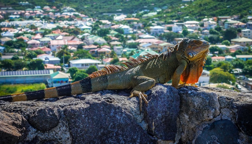 France Saint-Martin  | axetrip.com