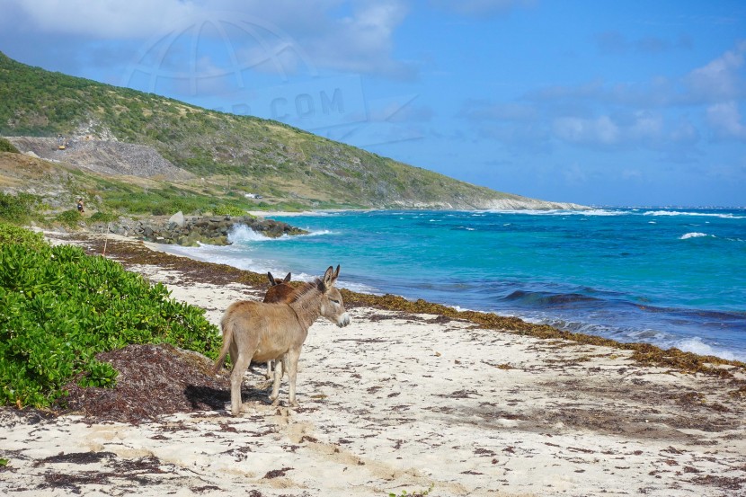 France Saint-Martin  | axetrip.com